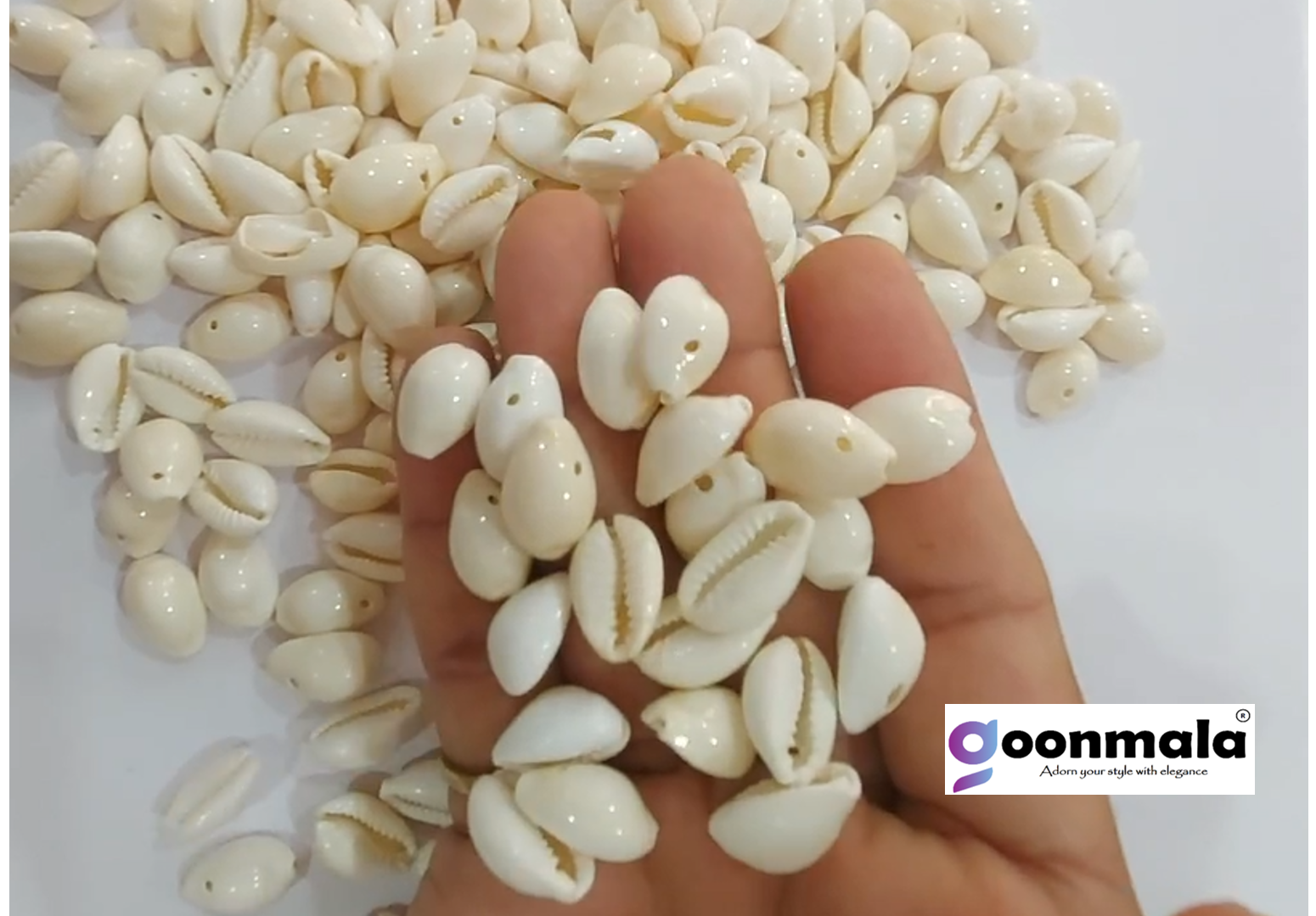 Natural Sea Shell Cowrie/Kodi for Craft Work, White colour, 000 size - Image 3