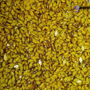 Kundan stone Plastic For Jewellery making, Bangles Embroidery Craft & Cloth Works, Plastic Eye Kundan 4x8mm, 500 pieces, Yellow